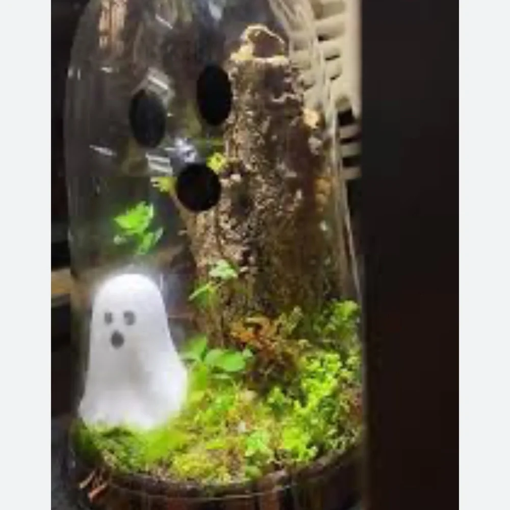 Target Halloween ghost clear glass cloche
